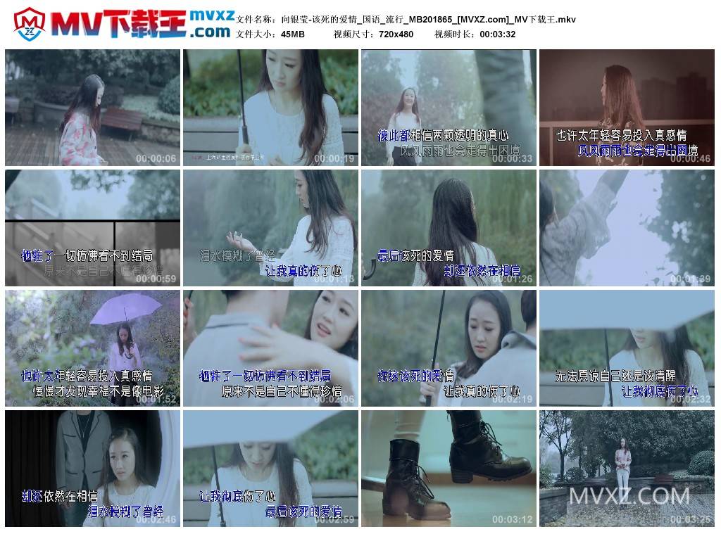 向银莹-该死的爱情_国语_流行_MB201865